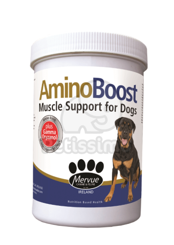 Mervue AminoBoost  700 g