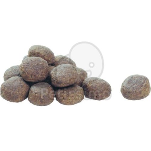 Pro Plan Adult Large Breed Robust Optibalance  14 kg