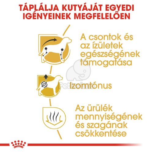 Royal Canin Dachshund Adult - Tacskó felnőtt kutya száraz táp  0.5 kg