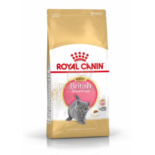 Royal Canin British Shorthair Kitten - Brit rövidszőrű kölyök macska száraz táp  2 kg