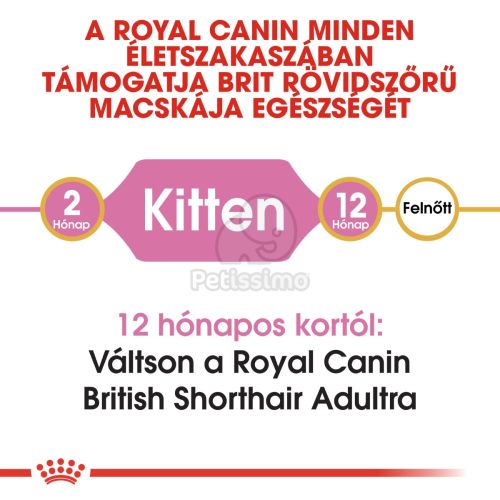 Royal Canin British Shorthair Kitten - Brit rövidszőrű kölyök macska száraz táp  2 kg