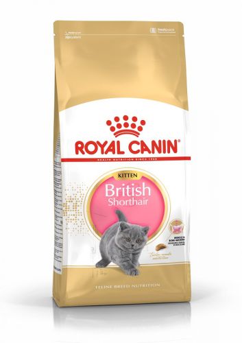 Royal Canin British Shorthair Kitten - Brit rövidszőrű kölyök macska száraz táp  2 kg