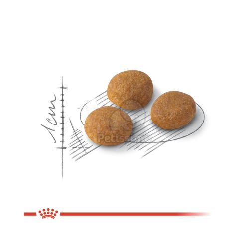Royal Canin Aroma Exigent - válogatós felnőtt macska száraz táp  10 kg