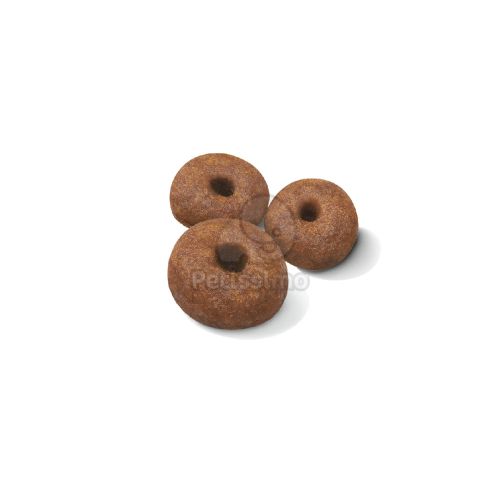 Royal Canin Giant Starter Mother & Babydog - óriás testű kölyök és vemhes kutya száraz táp  15 kg