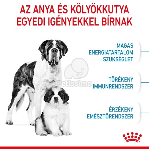 Royal Canin Giant Starter Mother & Babydog - óriás testű kölyök és vemhes kutya száraz táp  15 kg