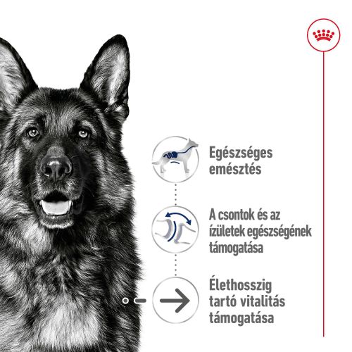 Royal Canin Maxi Ageing 8+ - nagytestű idős kutya száraz táp  15 kg
