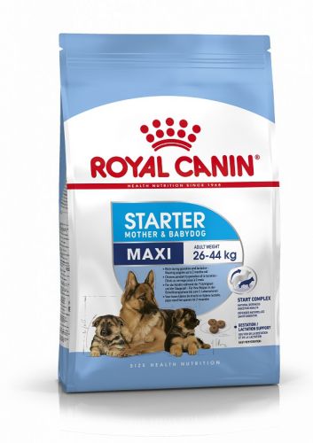 Royal Canin Maxi Starter - nagy testű kölyök és vemhes kutya száraz táp  15 kg