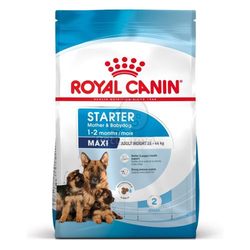Royal Canin Maxi Starter - nagy testű kölyök és vemhes kutya száraz táp  4 kg