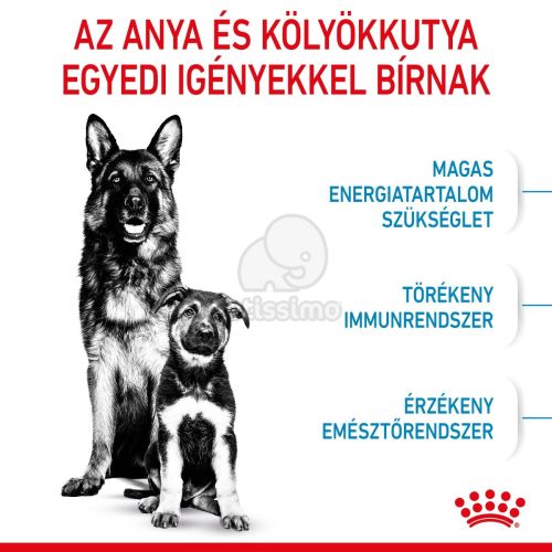 Royal Canin Maxi Starter - nagy testű kölyök és vemhes kutya száraz táp  4 kg