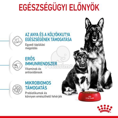 Royal Canin Maxi Starter - nagy testű kölyök és vemhes kutya száraz táp  4 kg