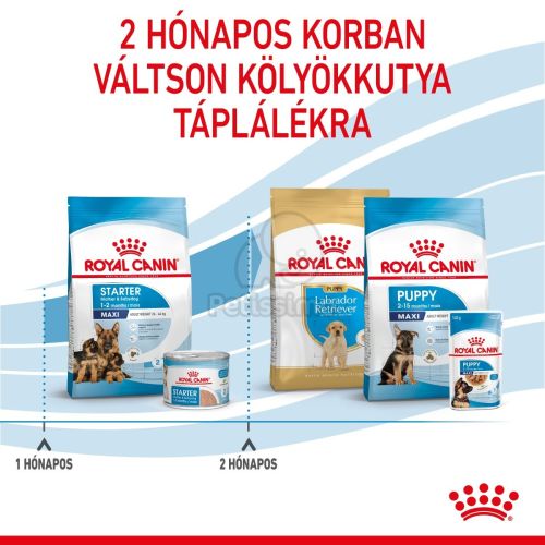 Royal Canin Maxi Starter - nagy testű kölyök és vemhes kutya száraz táp  4 kg