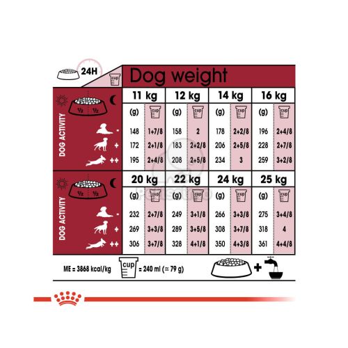 Royal Canin Medium Ageing 10+ - közepes testű idős kutya száraz táp  15 kg