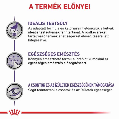 Royal Canin Neutered Adult Large Dog  12 kg