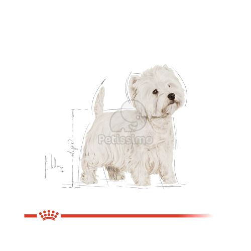 Royal Canin West Highlander White Terrier Adult - West Highlander White Terrier felnőtt kutya száraz táp  0.5 kg