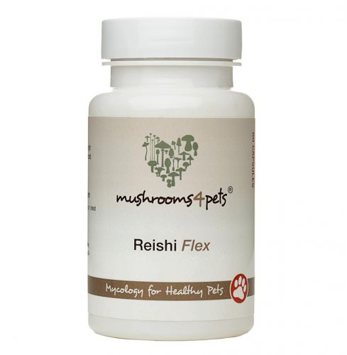 REISHI FLEX  60 kapszula