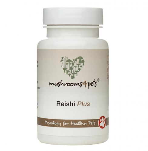 REISHI PLUS  60 kapszula
