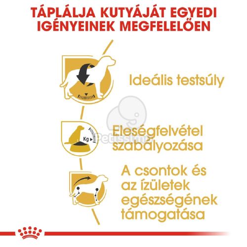 Royal Canin Beagle Adult - Beagle felnőtt kutya száraz táp  12 kg