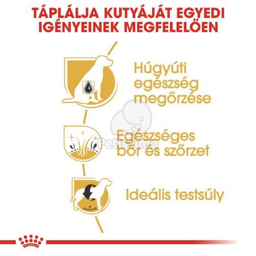 Royal Canin Bichon Frise Adult - Bichon Frise felnőtt kutya száraz táp  1.5 kg