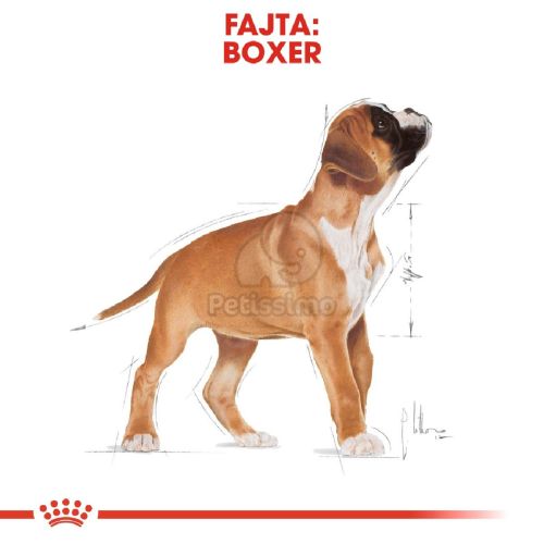 Royal Canin Boxer Puppy - Boxer kölyök kutya száraz táp  3 kg