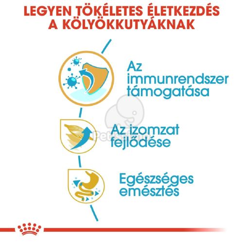 Royal Canin Boxer Puppy - Boxer kölyök kutya száraz táp  3 kg