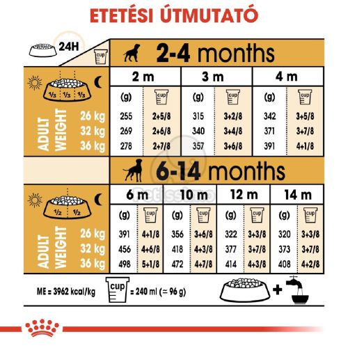 Royal Canin Boxer Puppy - Boxer kölyök kutya száraz táp  3 kg
