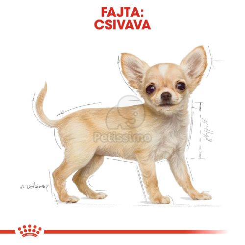 Royal Canin Chihuahua Puppy - Csivava kölyök kutya száraz táp  0.5 kg