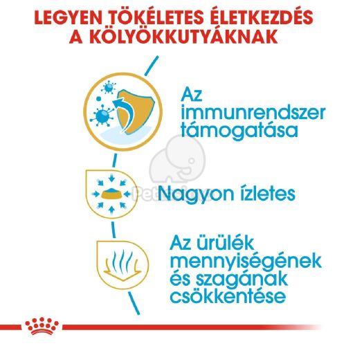 Royal Canin Chihuahua Puppy - Csivava kölyök kutya száraz táp  0.5 kg