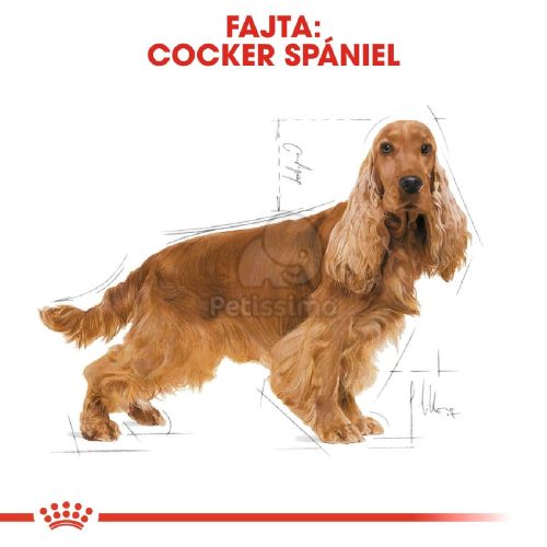 Royal Canin Cocker Adult - Cocker Spániel felnőtt kutya száraz táp  3 kg
