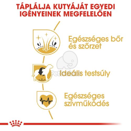 Royal Canin Cocker Adult - Cocker Spániel felnőtt kutya száraz táp  3 kg