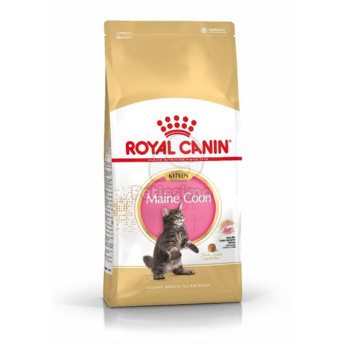 Royal Canin Maine Coon Kitten - Maine Coon kölyök macska száraz táp  400 g