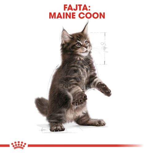 Royal Canin Maine Coon Kitten - Maine Coon kölyök macska száraz táp  400 g
