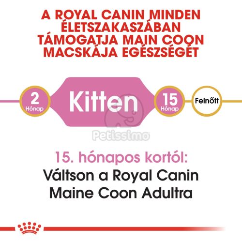 Royal Canin Maine Coon Kitten - Maine Coon kölyök macska száraz táp  400 g