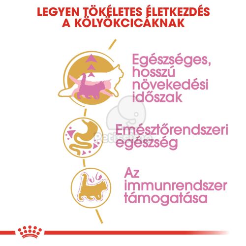 Royal Canin Maine Coon Kitten - Maine Coon kölyök macska száraz táp  400 g