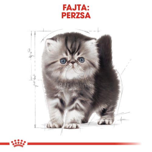 Royal Canin Persian Kitten - Perzsa kölyök macska száraz táp  2 kg