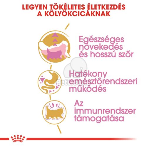 Royal Canin Persian Kitten - Perzsa kölyök macska száraz táp  400 g