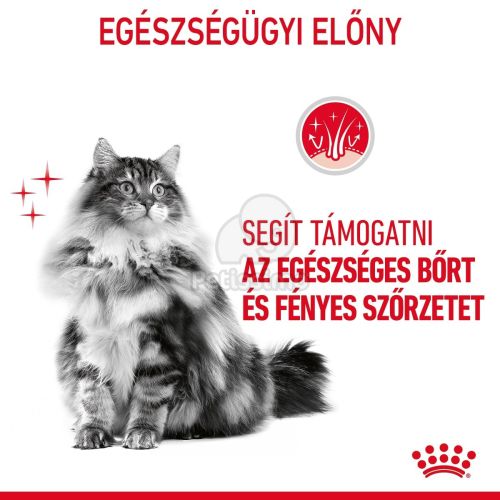 Royal Canin Hair & Skin Care - száraz táp felnőtt macskák részére a szebb szőrzetért és az egészséges bőrért  10 kg
