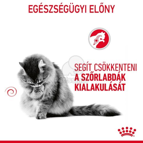 Royal Canin Hairball Care - száraz táp felnőtt macskák részére a szőrlabdák könnyebb eltávozásáért  10 kg