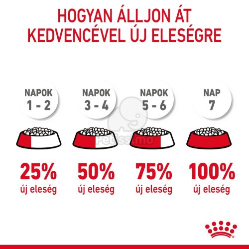 Royal Canin Dental Care - száraz táp felnőtt macskák részére a fogkőképződés csökkentéséért  8 kg