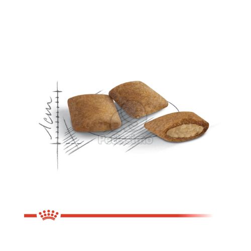 Royal Canin Ageing 12+ - idős macska száraz táp  4 kg