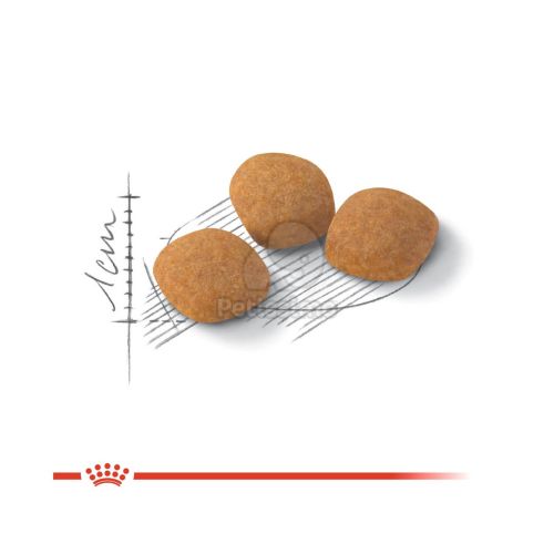 Royal Canin Protein Exigent - válogatós felnőtt macska száraz táp  10 kg