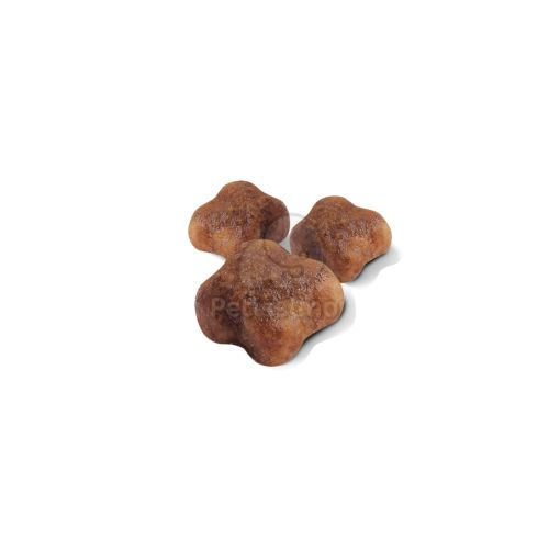 Royal Canin Mother & Babycat -  kölyök és anya macska száraz táp  2 kg
