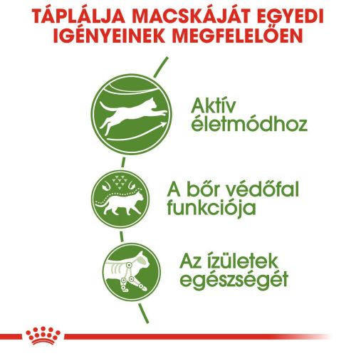 Royal Canin Outdoor - szabadba gyakran kijáró, aktív felnőtt macska száraz táp  4 kg