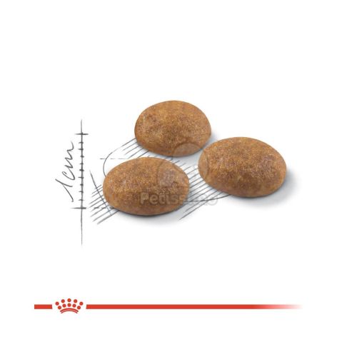 Royal Canin Outdoor - szabadba gyakran kijáró, aktív felnőtt macska száraz táp  400 g