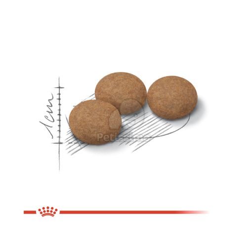 Royal Canin Ageing Sterilised 12+ - ivartalanított idős macska száraz táp  400 g