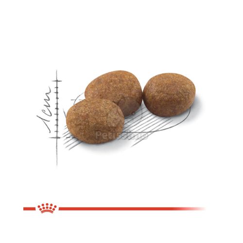 Royal Canin Sterilised - ivartalanított felnőtt macska száraz táp  4 kg