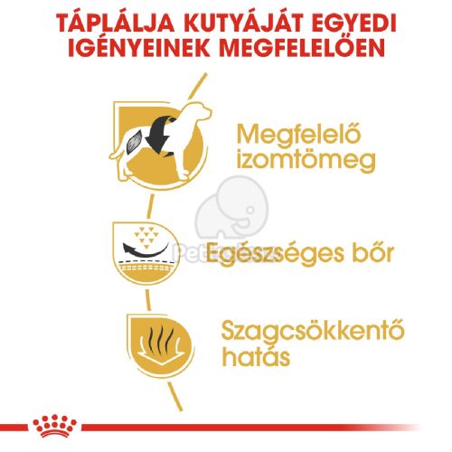 Royal Canin French Bulldog Adult - Francia Bulldog felnőtt kutya száraz táp  3 kg