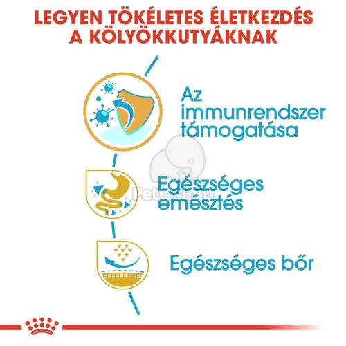 Royal Canin French Bulldog Puppy - Francia Bulldog kölyök kutya száraz táp  1 kg