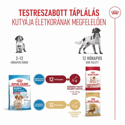 Royal Canin Medium Puppy - közepes testű kölyök kutya száraz táp  15 kg