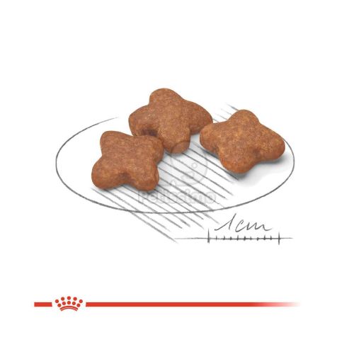 Royal Canin Mini Adult 8+ - kistestű idősödő kutya száraz táp  2 kg