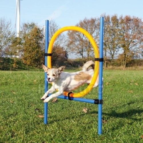 Trixie Agility - karika (ugró akadály)  115x3x65 cm